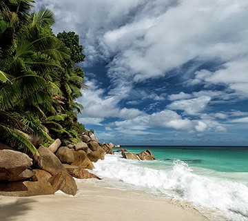 Seychelles beach