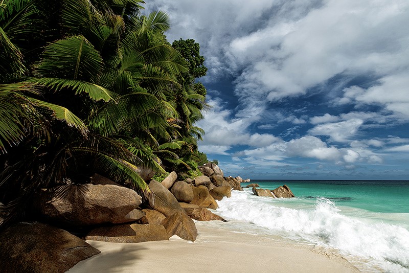 Seychelles beach